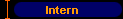 Intern